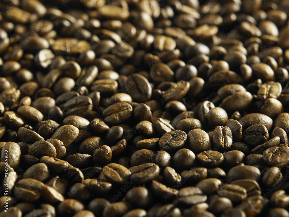 roasted coffee bean roasted coffee bean