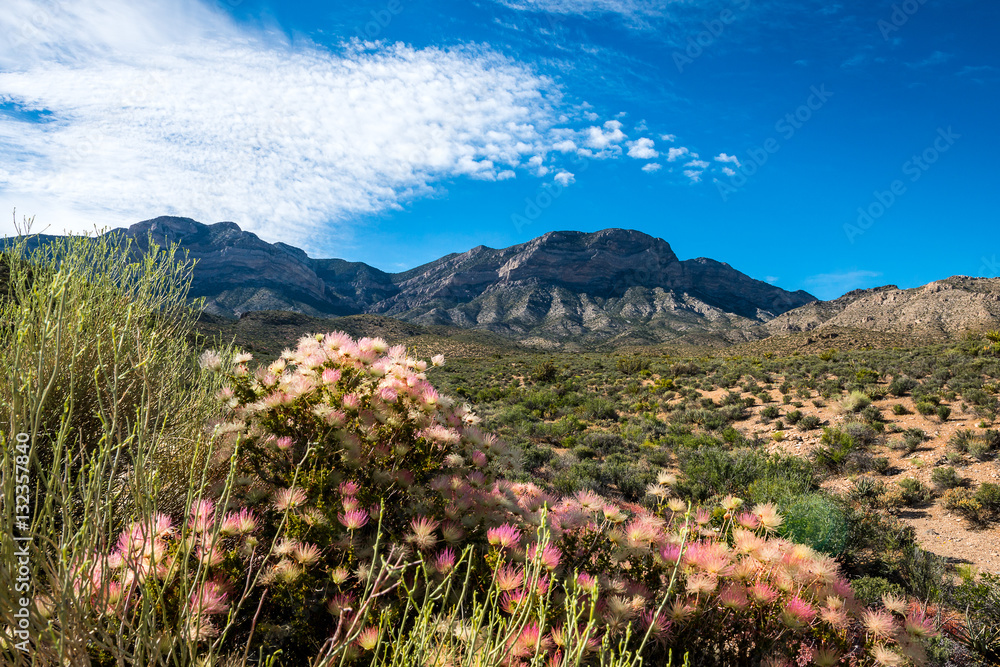 Red Rock Canyon