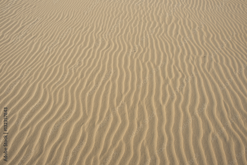 Textured Sea Sand from Above Textured Sea Sand from Above