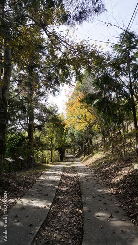 landscapes