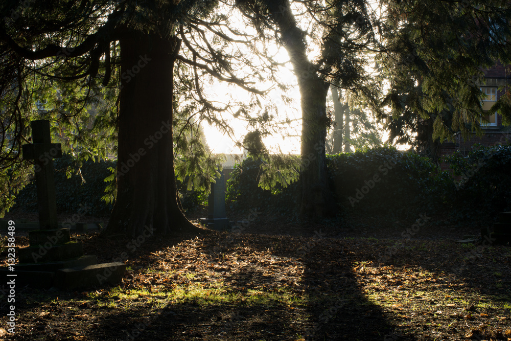 Naklejka premium Śmierć, opuszczony cmentarz z nagrobkami i zarośniętymi nagrobkami. Śmierć i pochówek. Zdjęcie grobu na cmentarzu.