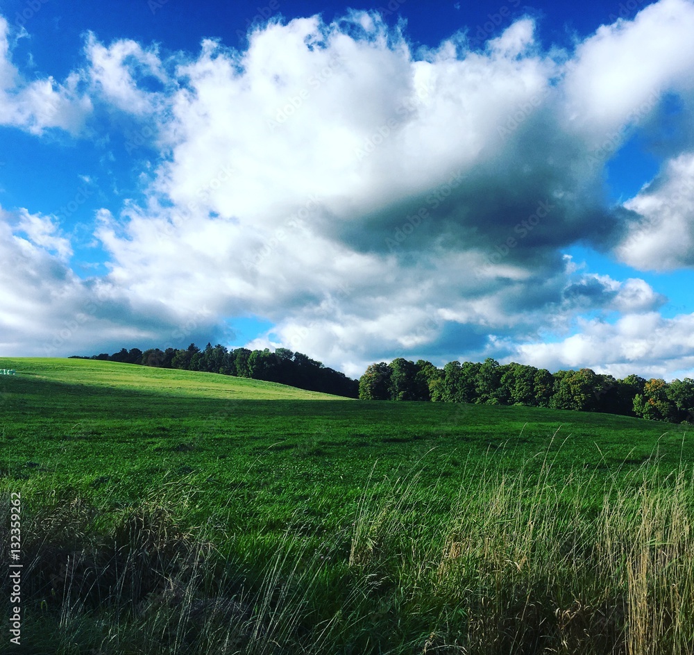 Green Field Blue Sky Green Field Blue Sky