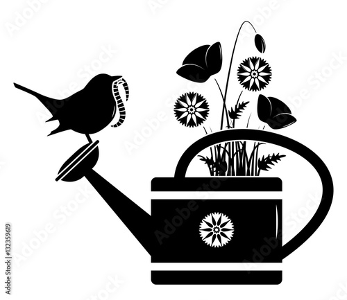 meadow flowers in watering can