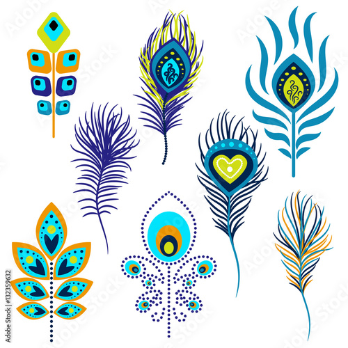 Peacock feathers vector illustration clipart. Blue and green peafowl bird hackles.