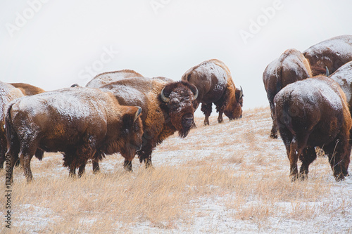 Huddle