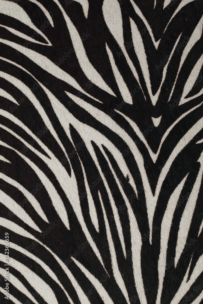 animal print animal print