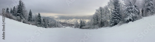 Panorama view of a wild ski slope between snow covered spruces high in winter mountains