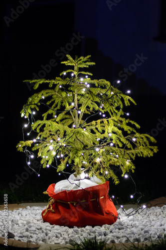 beleuchteter Weihnachtsbaum im Freien photo