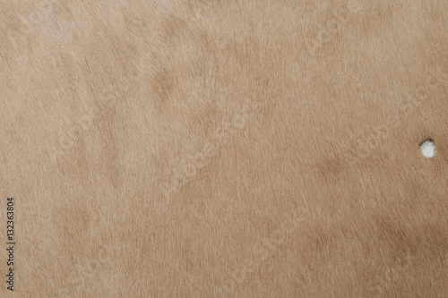 furr texture