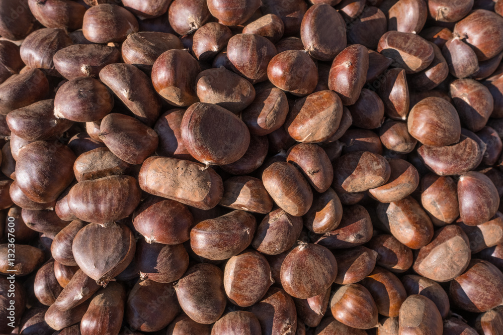 Close up of chestnuts Close up of chestnuts