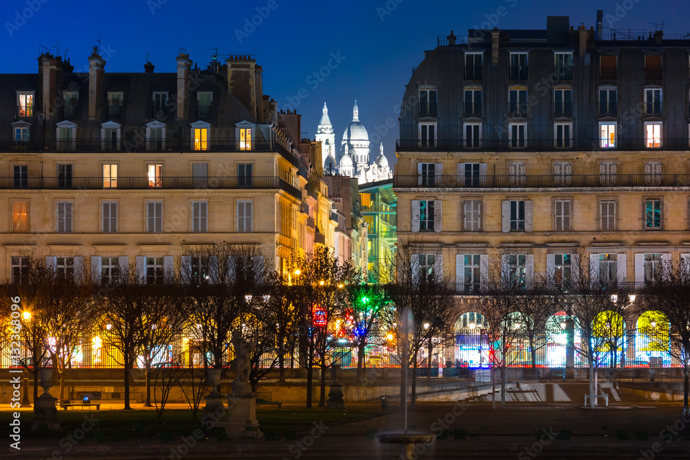 Fototapeta premium Night view of Sacre-Coeur Basilica or Basilica of the Sacred Heart of Jesus and Tuileries Garden, Paris, France