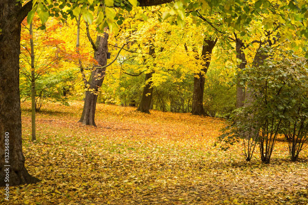 Herbstlicher Park Herbstlicher Park
