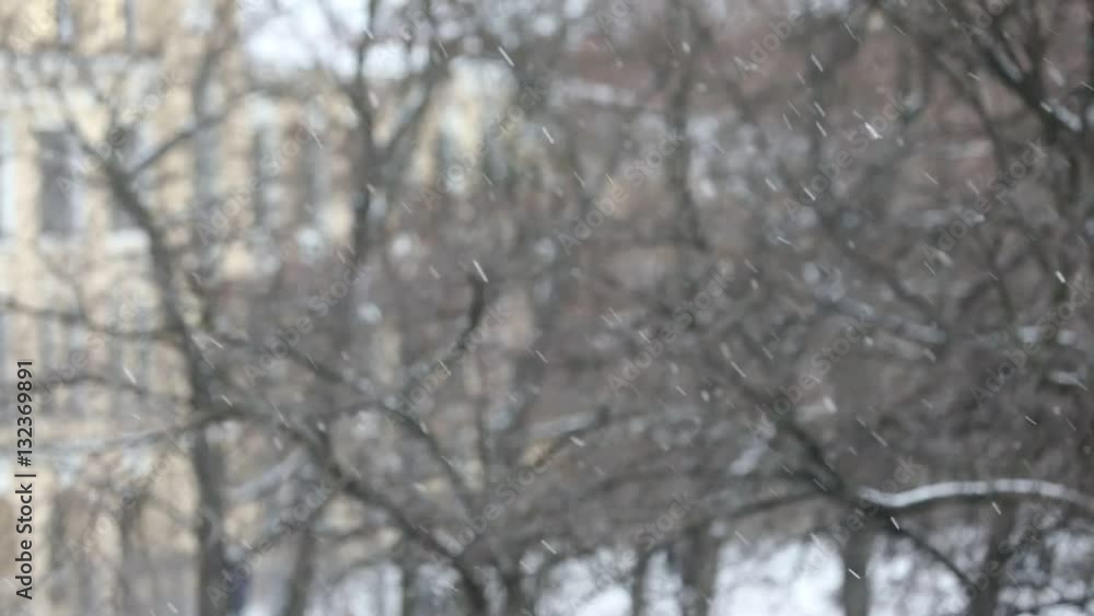 snowfall - slow motion snowfall - slow motion