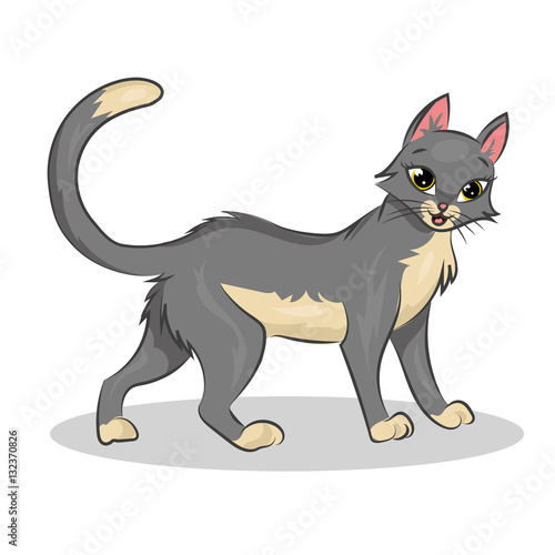 cute cartoon vector colorful cat at the white background