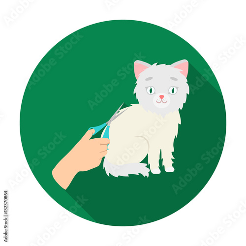 Grooming of a cat icon in flat style isolated on white background. Veterinary clinic symbol stock vector illustration.