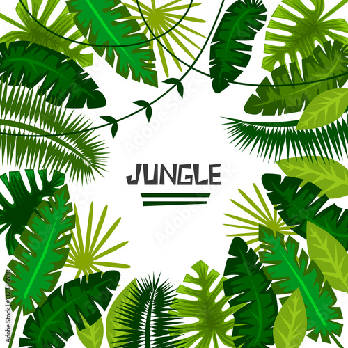 tropical plants. jungle. vector illustration. frame