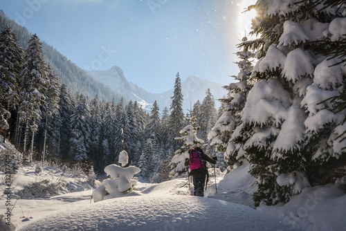 Hikers walking in the forests of Fagaras in Carpathian Mountains, Europe, Winter landscape