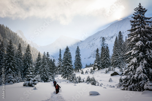 Snow covered trees in the mountains at sunset. Beautiful winter landscape. Winter forest. Creative toning effect