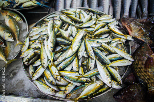 fish market abu dhabi, fish, market, fhish in ice, Shrims, seafo