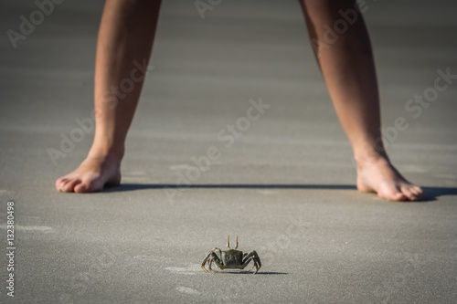 Crab against human