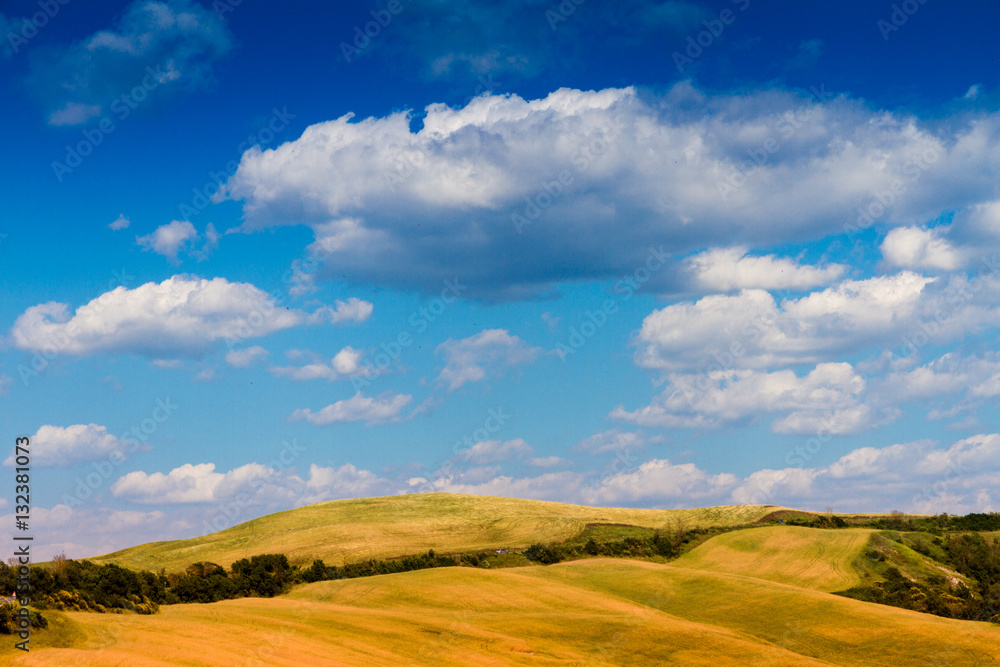 Fields in Tuscany, Italy Fields in Tuscany, Italy
