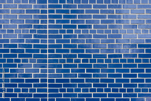 Blue Brick Wall © Anya Hess