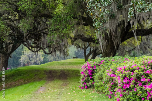 Magnolia Plantation & Gardens Gate 5 photo