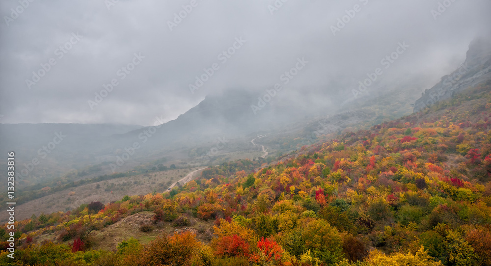 Panorama of beautiful colourful autumn landscape in mountains