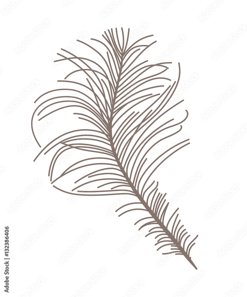 Obraz premium Feather. Vector silhouette.
