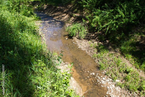 The stream in summer forest