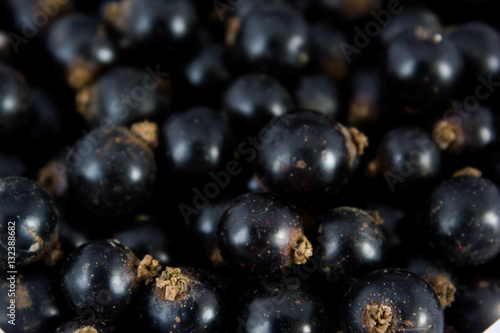 Black currant berries