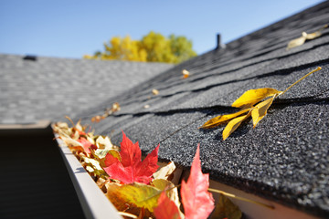 Rain gutter full of autumn leaves