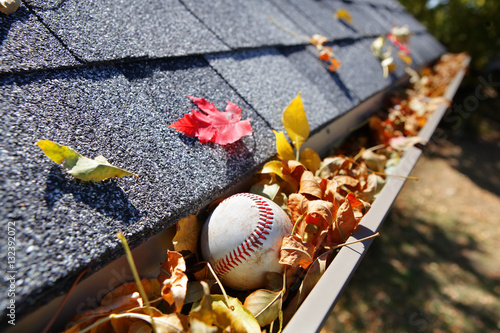 Rain gutter full of autumn leaves with a baseball