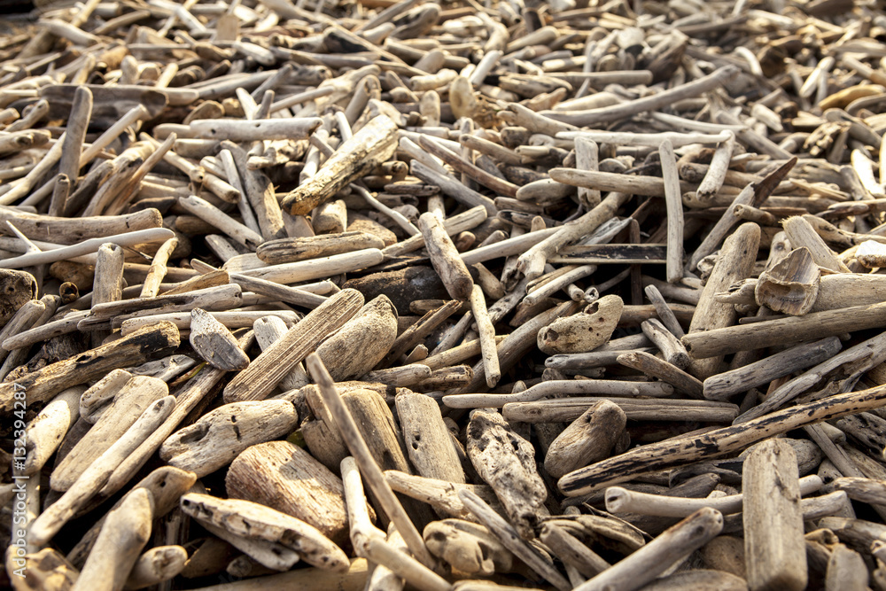 pile of driftwood bali pile of driftwood bali