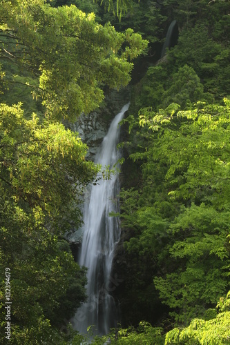 原不動滝　兵庫県