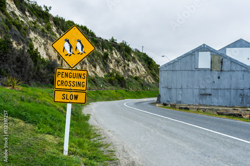 Penguins crossing traffic sign photo