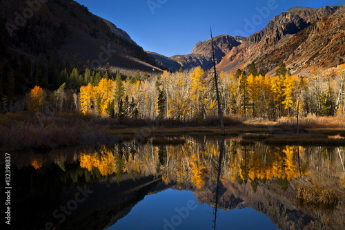 Lundy Canyon in Autumn with fall leaves on the trees reflecting in a beautiful pond. Part of the Sierra Nevada mountains near Lee Vining and Mono Lake, CA photo