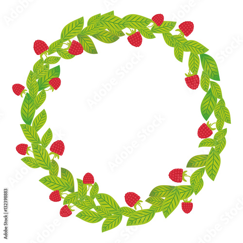 Round wreath with green leaves and raspberries Fresh juicy berries isolated on white background. Vector