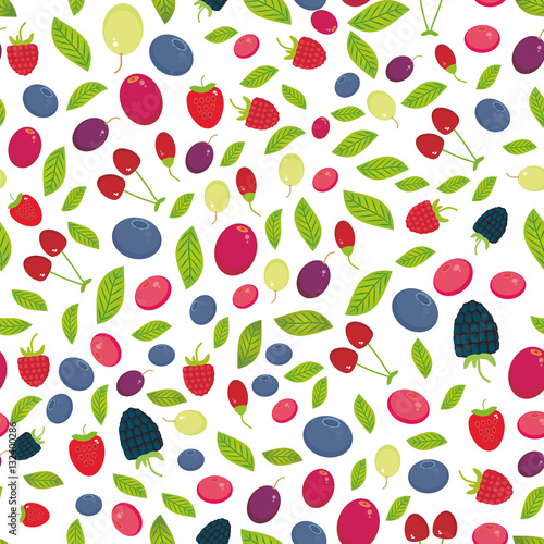 seamless pattern with Cherry Strawberry Raspberry Blackberry Blueberry Cranberry Cowberry Goji Grape isolated on white background. Vector