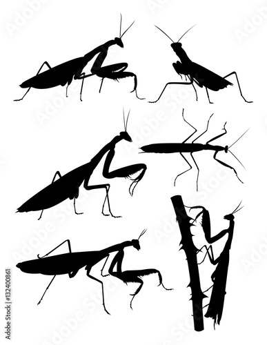 Praying mantis animal silhouette. Good use for symbol, logo, web icon, mascot, sign, or any design you want.