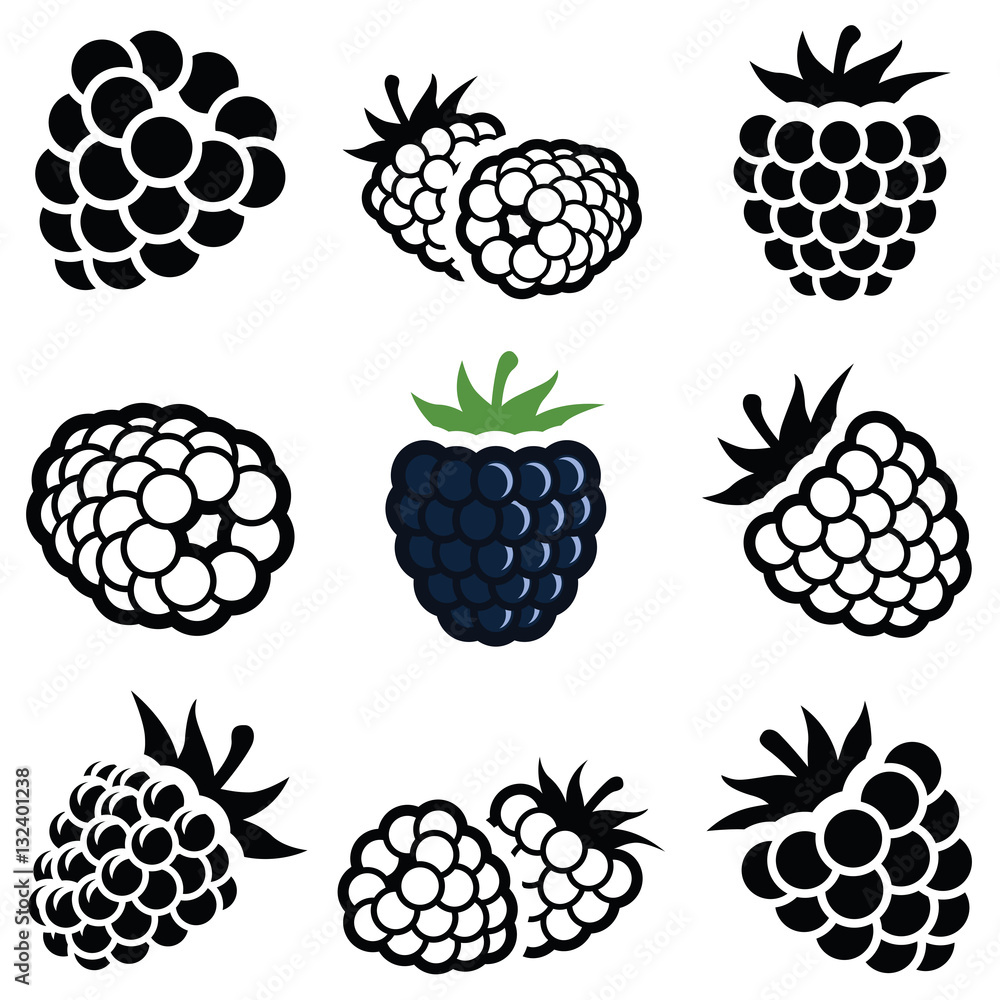 Blackberry icon collection vector illustration Stock Vector Adobe Stock