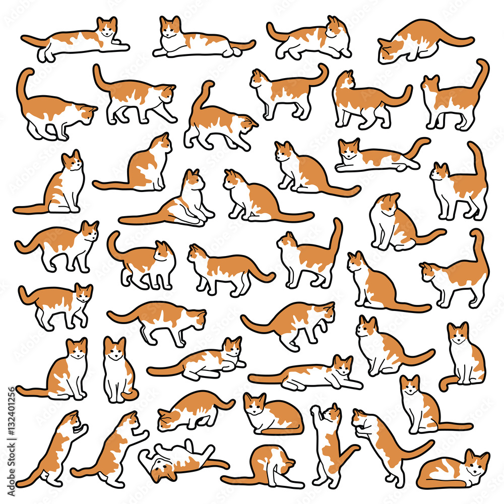 Cat collection - vector outline illustration