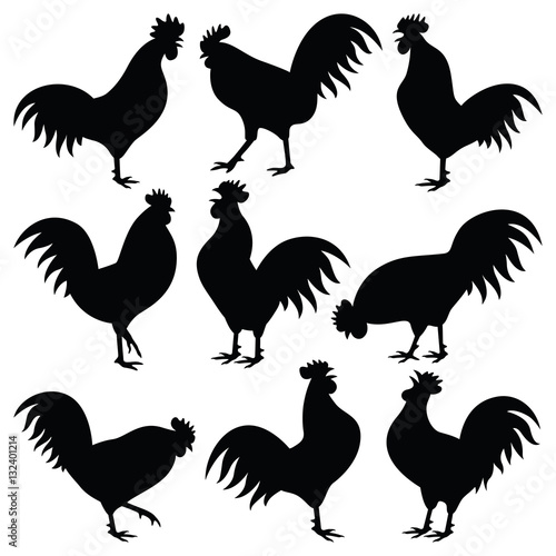 Rooster vector silhouette collection - Chinese symbol New Year