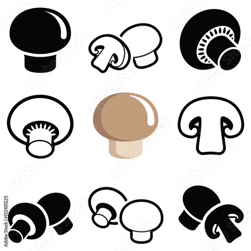 Mushroom collection - vector illustration