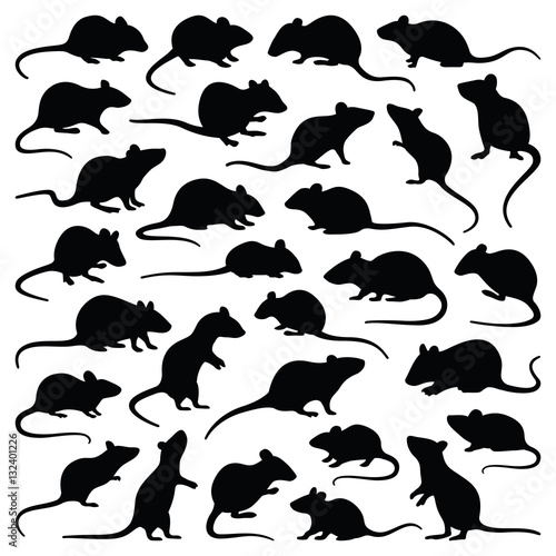 Fotografia Rat and mouse collection - vector silhouette