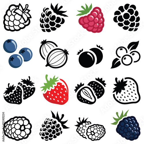 Berry fruit icon collection - vector illustration photo