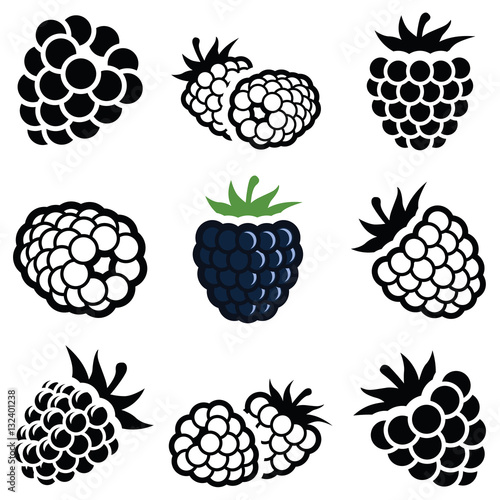 Blackberry icon collection - vector illustration photo