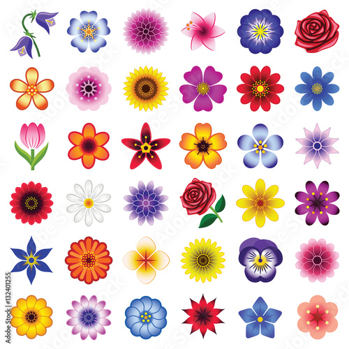 Flower icon collection - vector illustration 