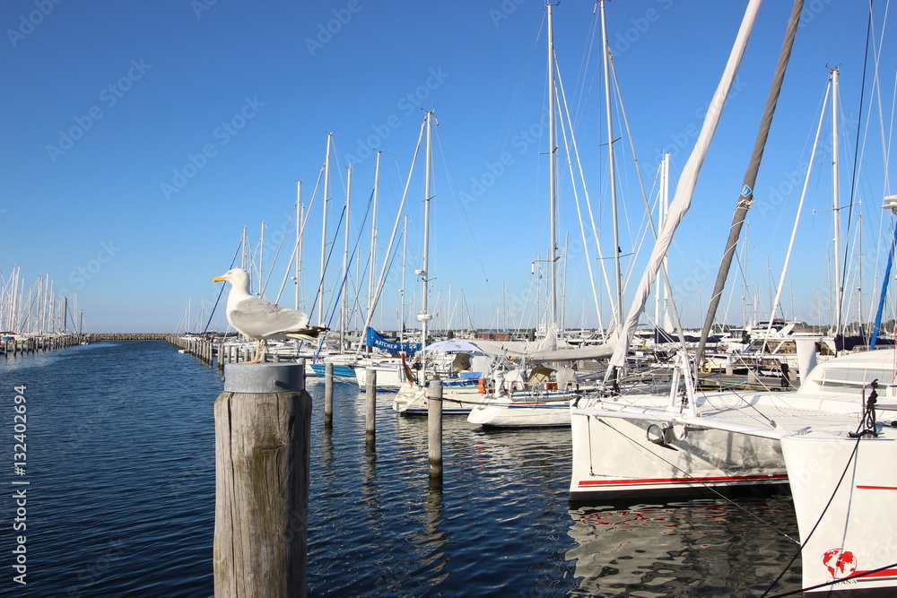 Obraz premium Yachthafen Hohe Düne