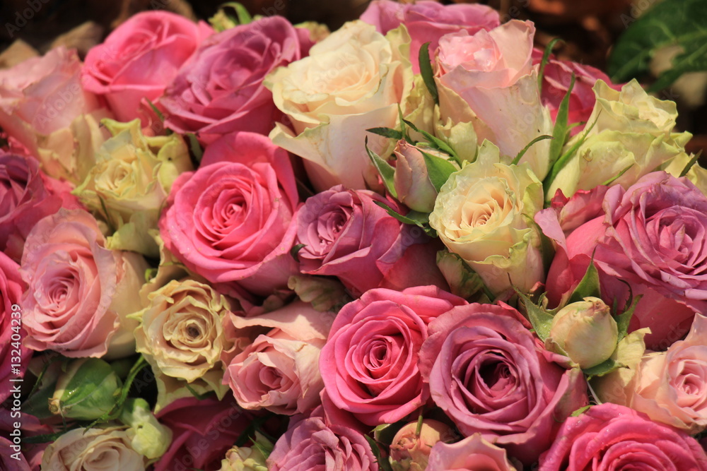 Mixed pink roses